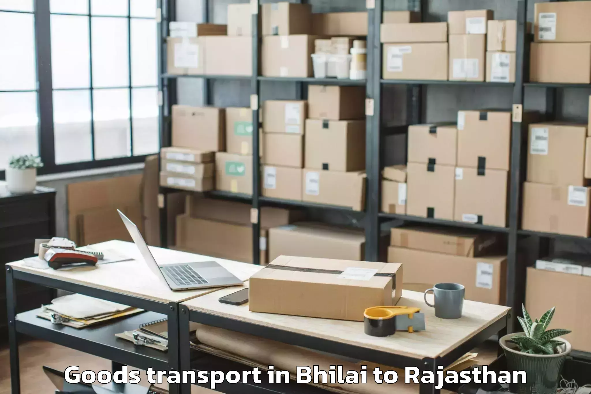 Reliable Bhilai to Mathania Goods Transport